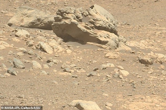 NASA scientists have spotted a mysterious rock on Mars which 'shouldn't be there' due to its unusual metallic composition and 'sculpted' appearance. This image of the rock was taken using the Perseverance rover's Mastcam-Z camera