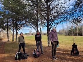 Alicia Hums, far left, Colleen McInnes, and Alexandra Poletto, analyze their next hole at the Nickel City Open Disc Golf Tournament in Coniston