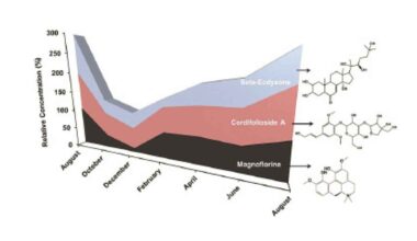Patanjali’s novel research on Giloy published in BMC Plant Biology