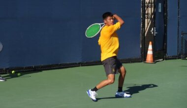 Bears Shine on Global Stage