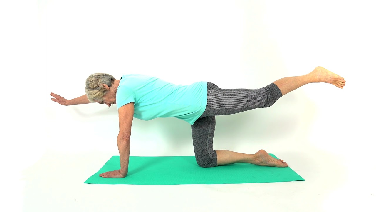 Bird Dog for Seniors: Horizontal - YouTube