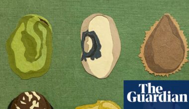 Beans, beans, the magical fruit: how healthy are they really? | Well actually