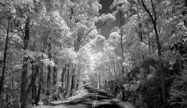 Here's how I shoot infrared photographs on my smartphone