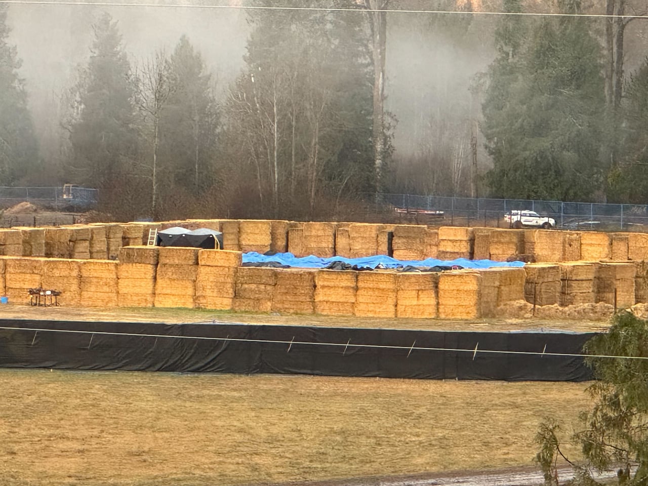 Blue tarps cover objects on the ground inside a makeshift holding pen made of hay bales, with forest edge in the distance.