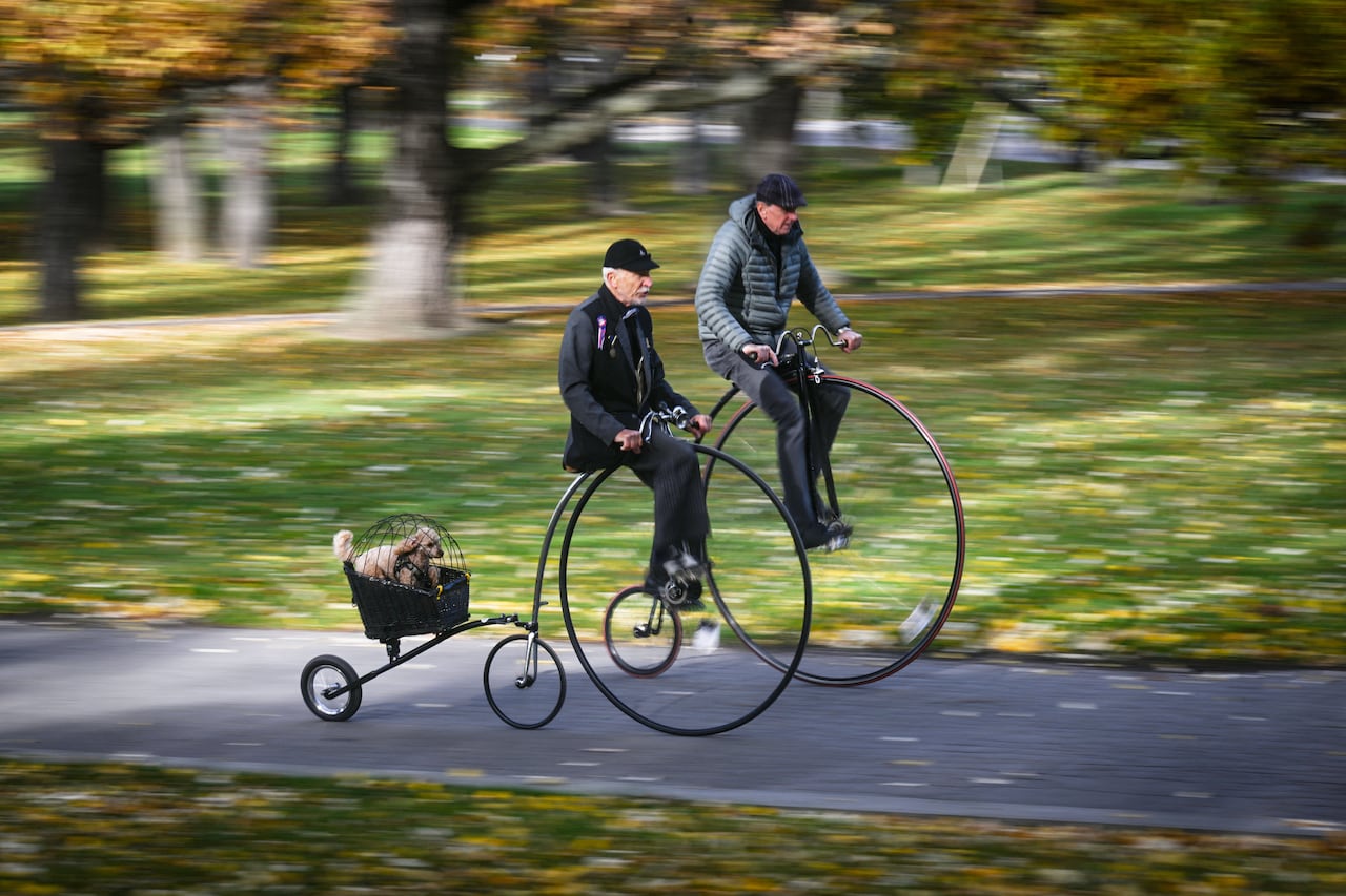 Two people riding penny-farthing bicycles, with a dog in tow.