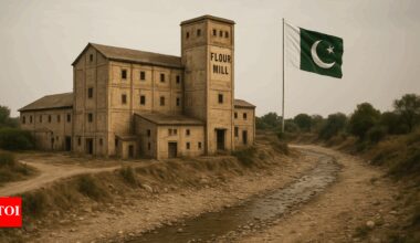 Another crisis brewing? Pakistan on brink of food supply collapse as flour shortage deepens; prices hit the roof