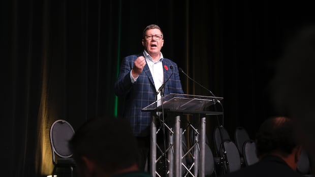 Moe gets more than 80% approval in leadership vote after taking blame for Sask. Party losses in cities