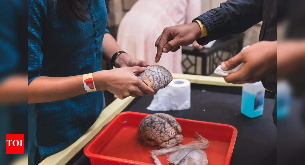 In Bengaluru, conversations on mental health find a home | Events Movie News