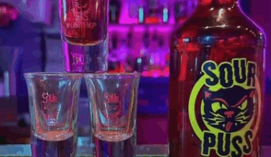 ‘We’ve moved to Canada and are proud of it’: Sour Puss liquor production moves from Minnesota to Quebec