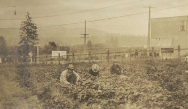 City of Burnaby makes formal apology for decades of discrimination against people of Chinese descent