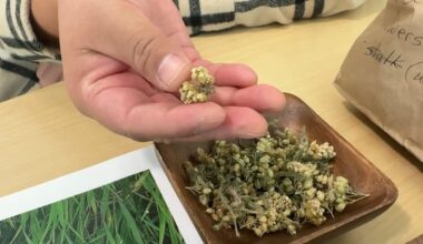 These First Nations women teach people about natural medicines for healing