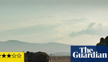 Rhino review – Tom Hardy channels David Attenborough in mission to save Kenya’s rhinos | Movies