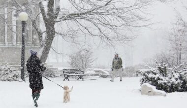 Up to 50 cm of snow expected in Waterloo region, Guelph and Wellington County