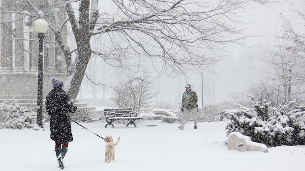 Up to 50 cm of snow expected in Waterloo region, Guelph and Wellington County