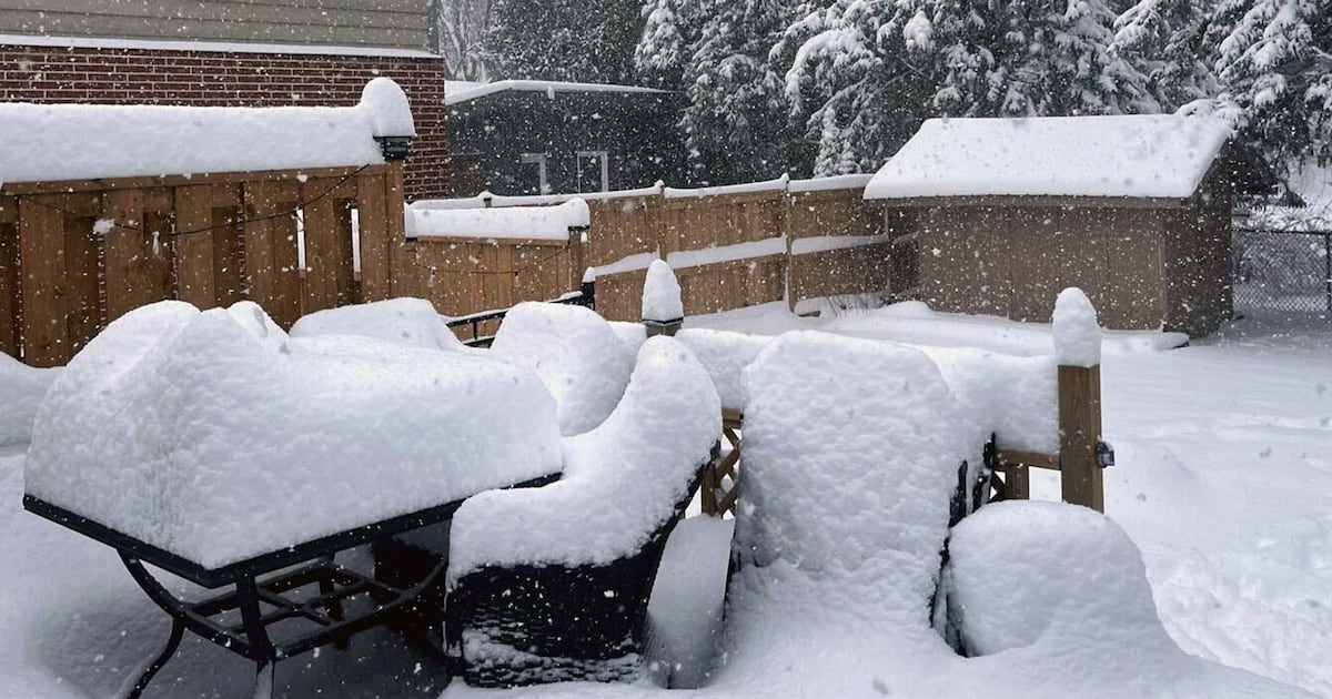 Up to 60 cm possible in some areas