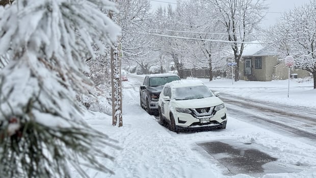 Snowfall warning, wind statement issued in eastern Ontario