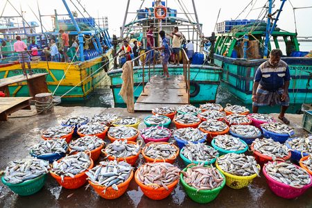 Seafood exporters seek market diversification, value addition amid US tariff blow