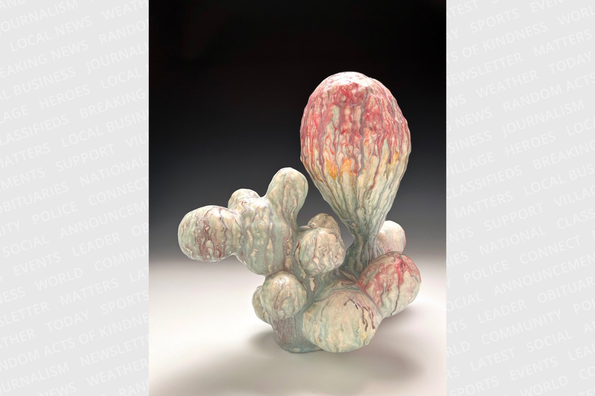 Georgian College exhibition explores gender bias in health care