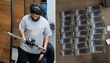 Michigan terror plot: Five key questions about how the arrests went down.