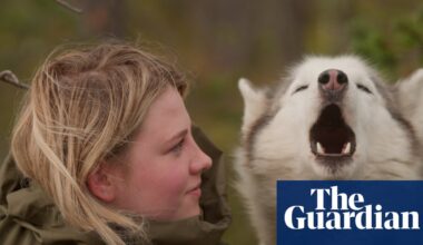 ‘A fire, a dog, and the starry sky’: the teens overcoming phone-addiction through Arctic pursuits | Documentary films