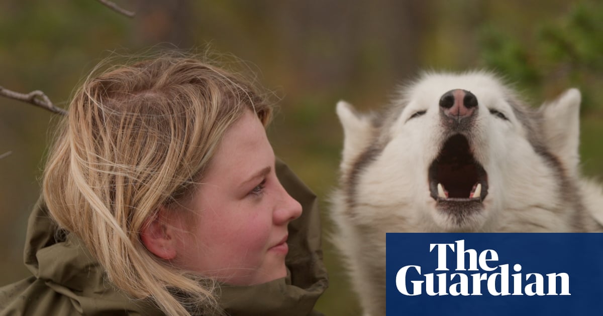 ‘A fire, a dog, and the starry sky’: the teens overcoming phone-addiction through Arctic pursuits | Documentary films