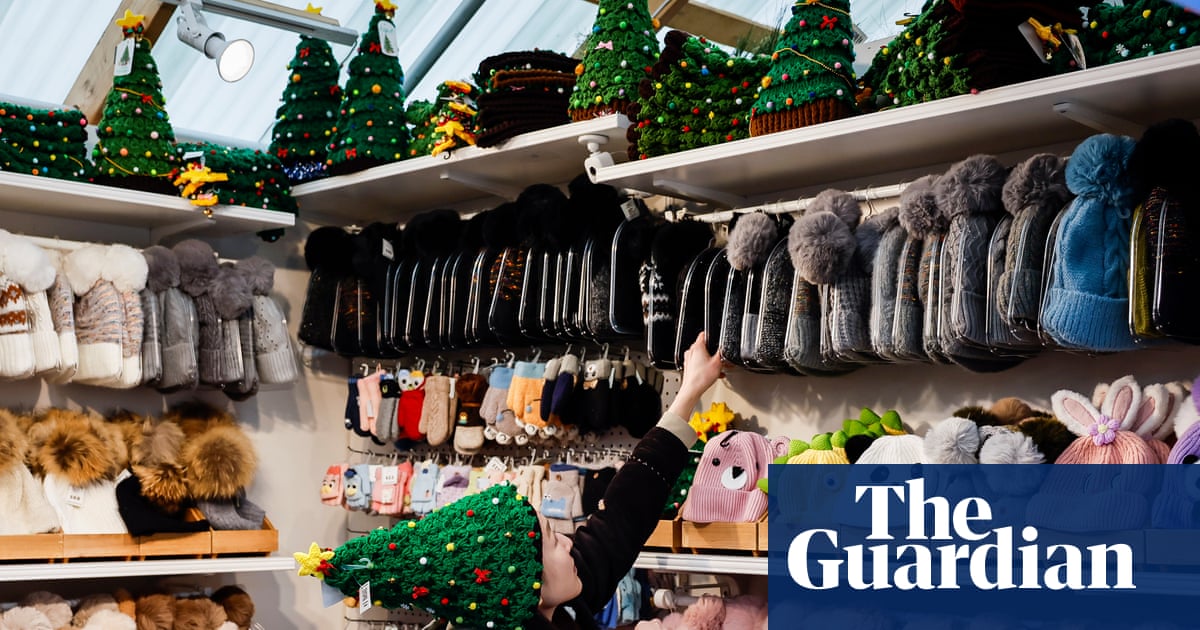 US small businesses sound alarm over Trump’s tariffs amid crucial holiday season | Small business