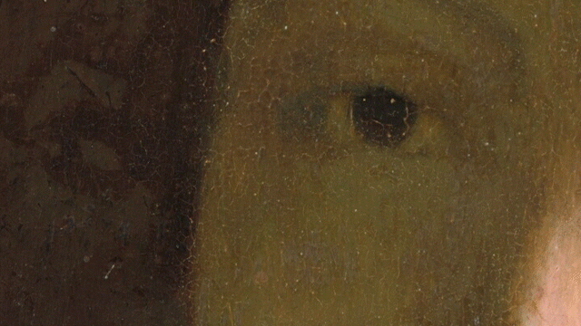 Has science finally solved mystery of the vanishing Vermeer?