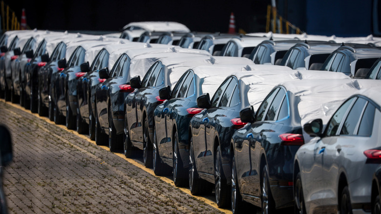 New cars stand parked behind a fence the automotive terminal on August 11, 2025 in Bremerhaven, Germany. Following an agreement between the European Union and the administration of U.S. President Donald Trump, a tariff of 15% on most imports from the EU to the US, including automobiles and parts, went into effect on August 7. Some items face no tariffs, while steel and aluminum are tagged with a 50% tariff.