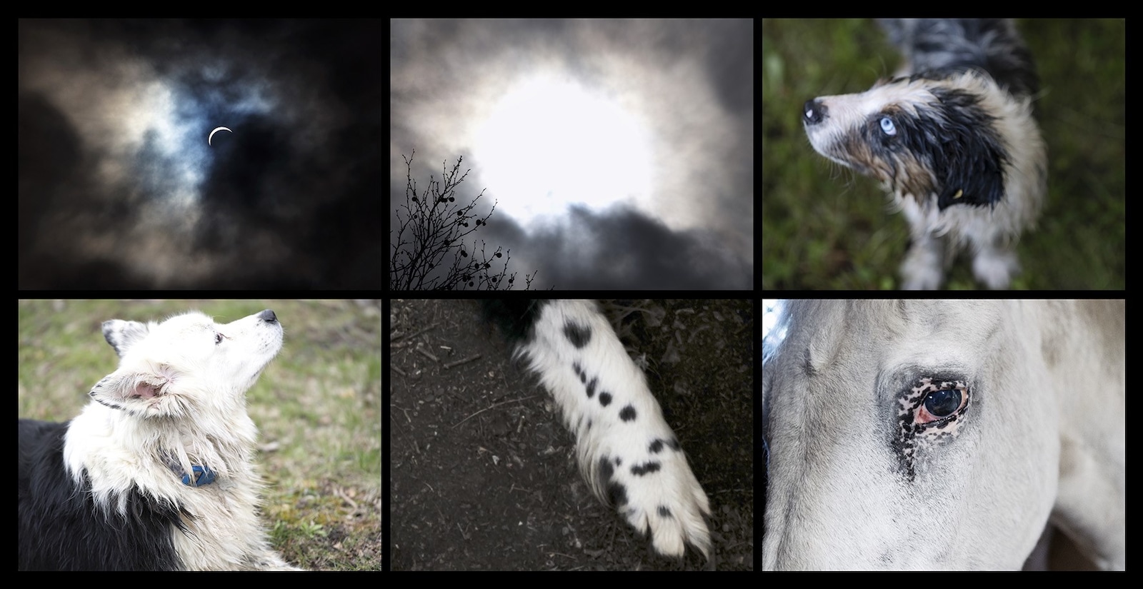 This Will Not End Well by Nan Goldin