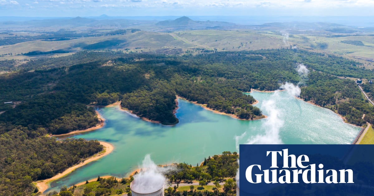 Business and energy leaders warn Coalition dumping net zero won’t cut power bills and demand more detail | Liberal party