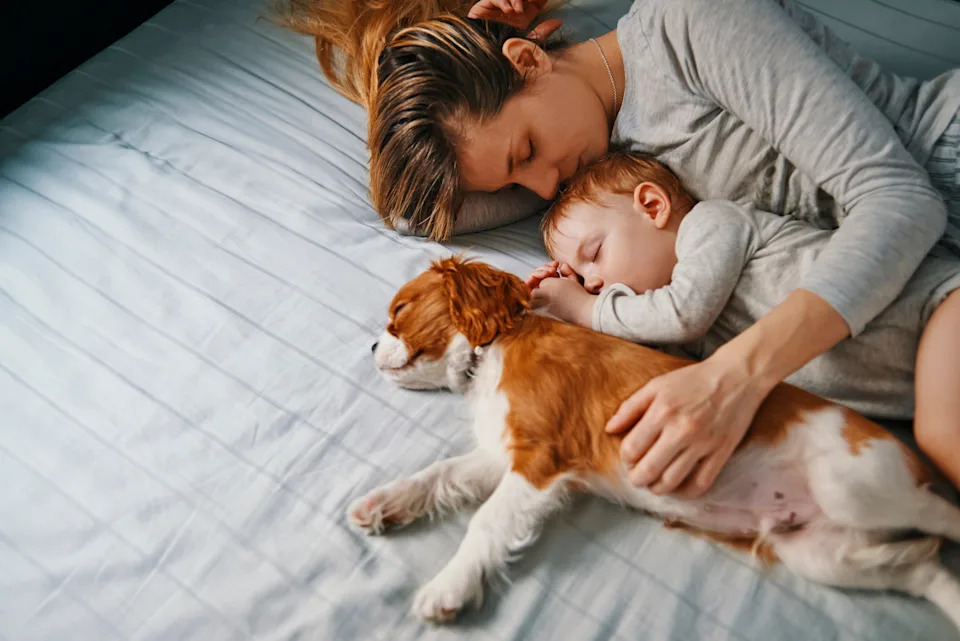 A mother cuddles with her sleeping baby and a small dog on a bed, all appearing peaceful and relaxed