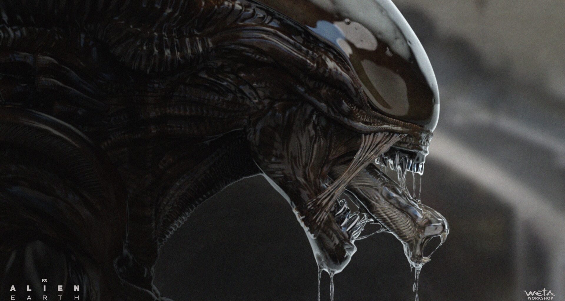 Weta Workshop Shares Alien: Earth Xenomorph Concept Art
