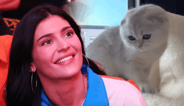 Kylie Jenner Shares Sports Bra Selfie, Photos of New Cat in Instagram Drop