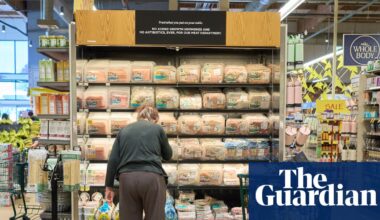 US consumer sentiment drops to near record low as shutdown persists | US economy