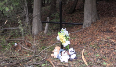 ‘Unimaginable loss’: Hanover, Ont. community grieves tragic loss of three teens - CTV News