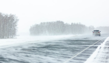 Snow squalls expected across southern Ontario - CTV News