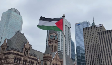 Man arrested at Toronto City Hall Palestinian flag raising