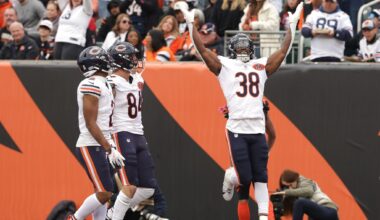 Enjoy the ride with these Bears