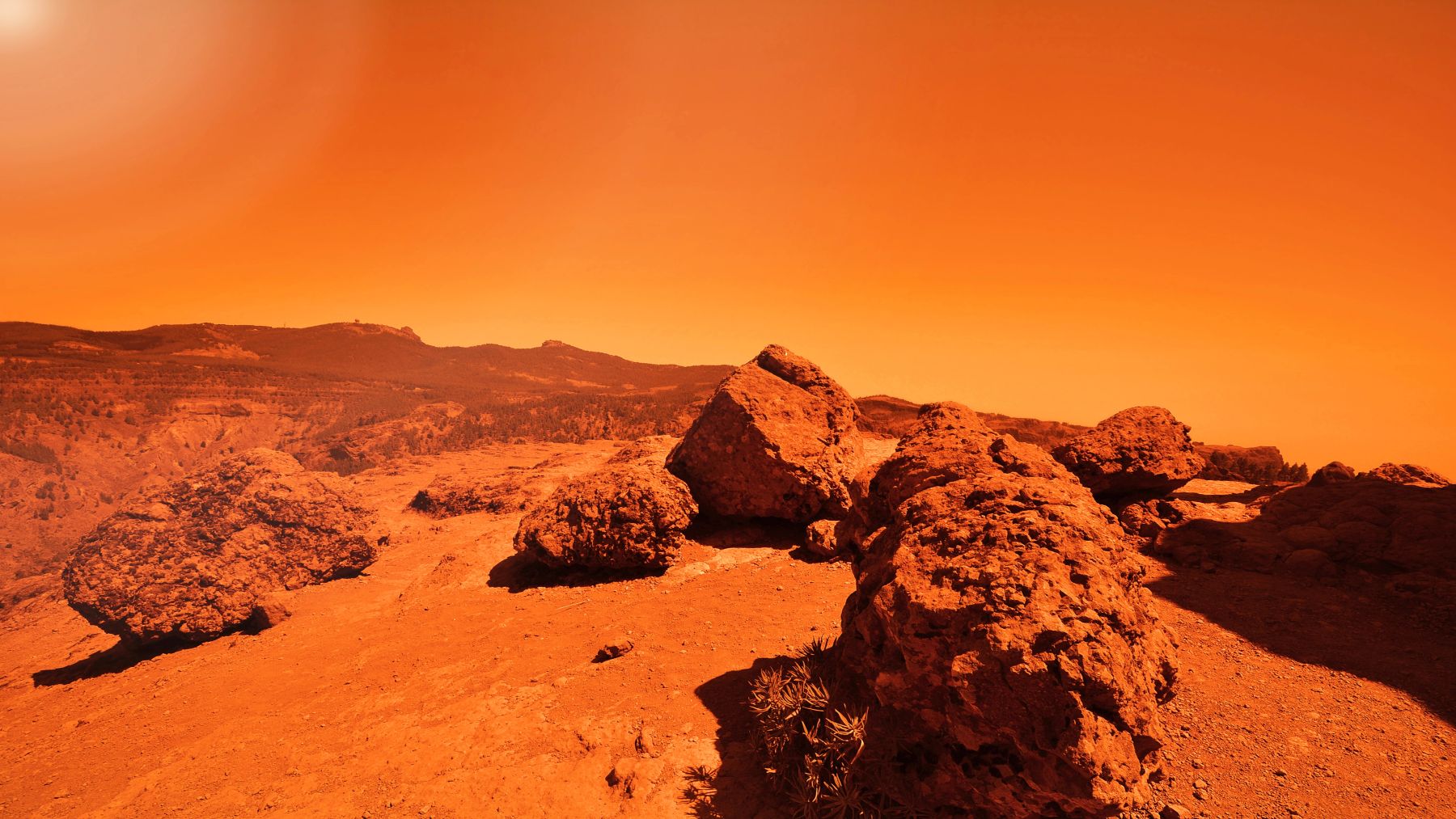 Viking lander studying Mars surface