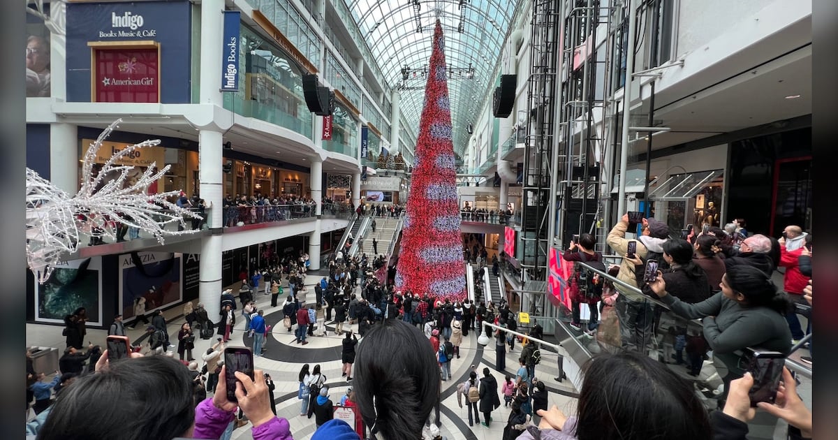 Canadian holiday shoppers say tariffs are changing spending plans - CTV News