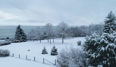 Province calls for winter prep as cold moves in