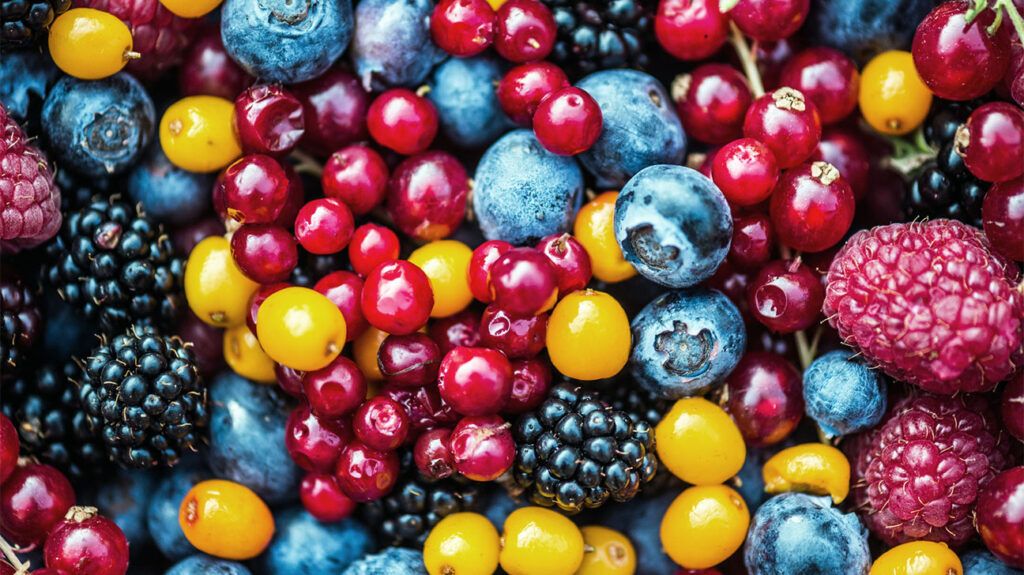 Various flavanol-rich fruits such as blueberries, blackberries, cranberries, and golden berries