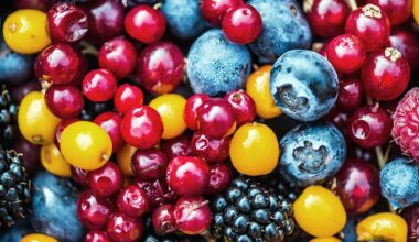 Flavanols in plant foods may stave off effects of being sedentary