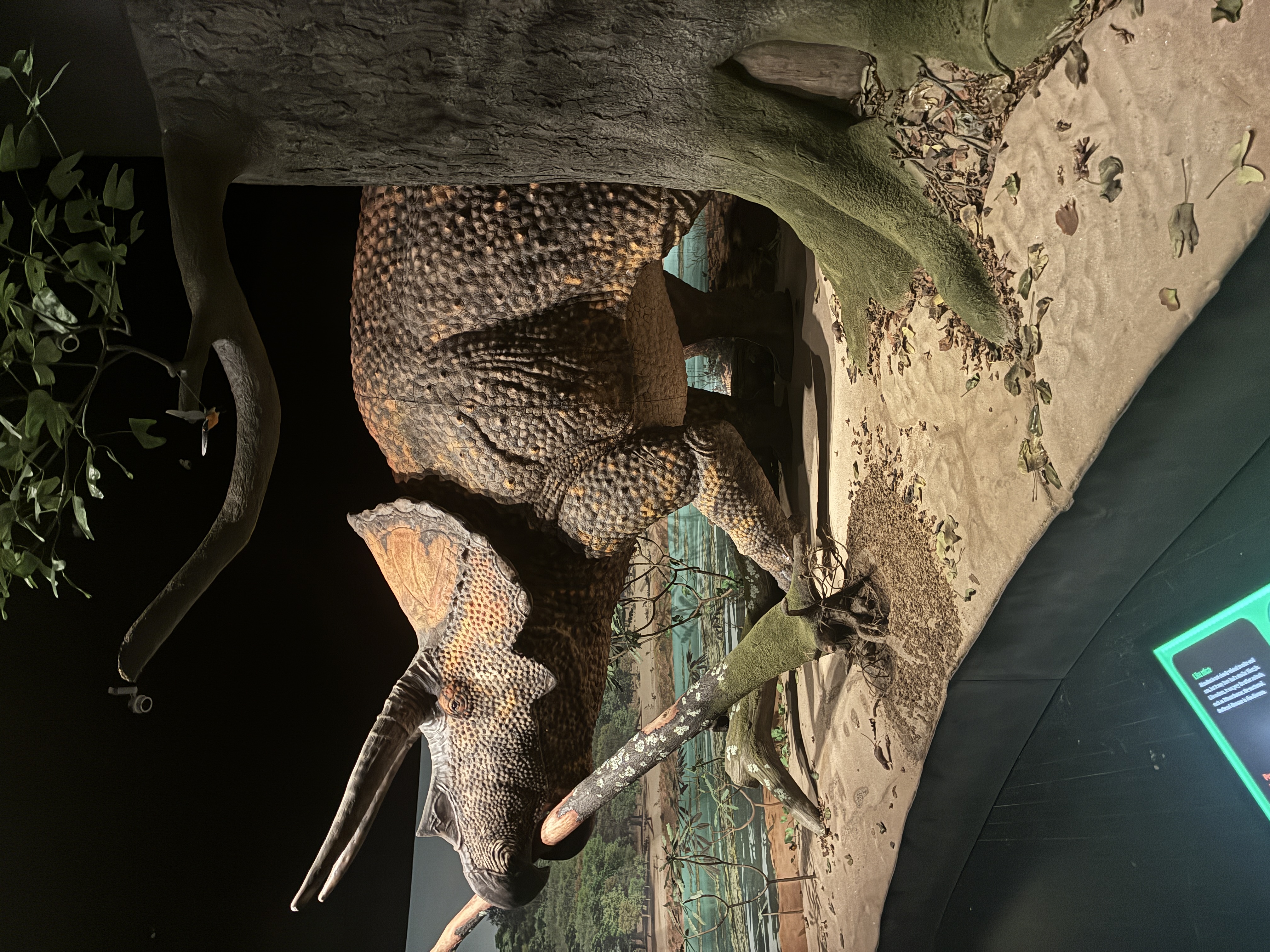 A dioramas of a dinosaur as part of a museum exhibit