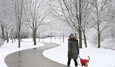 First snowfall arrives. 5-10 cm expected