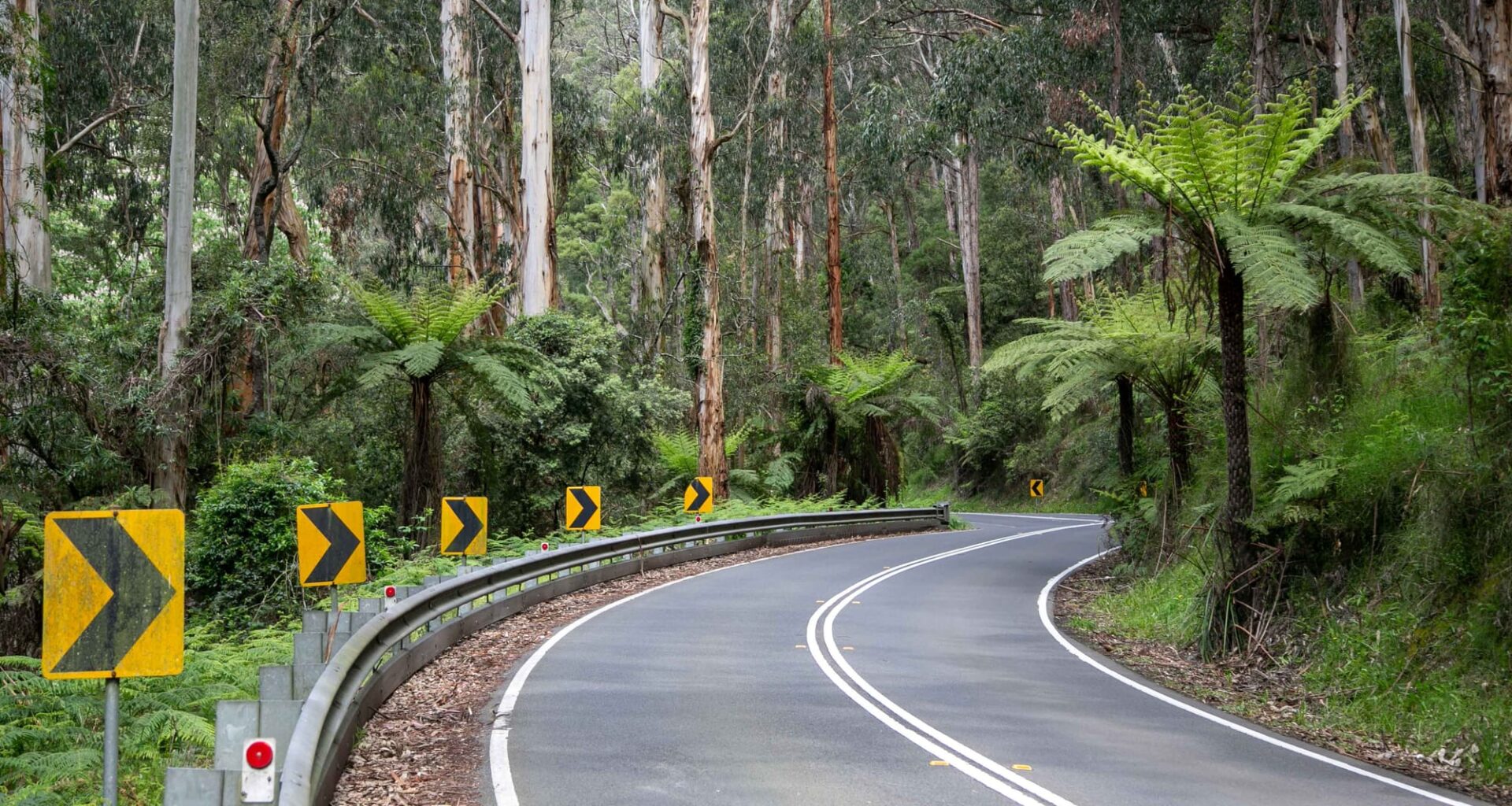 A love letter to an icon of Australian cycling