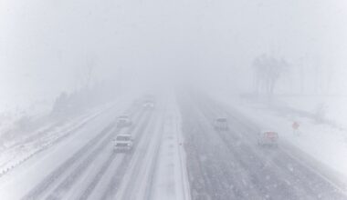 Ontario winter wallop dumps up to 70 centimetres of snow in some parts - CTV News