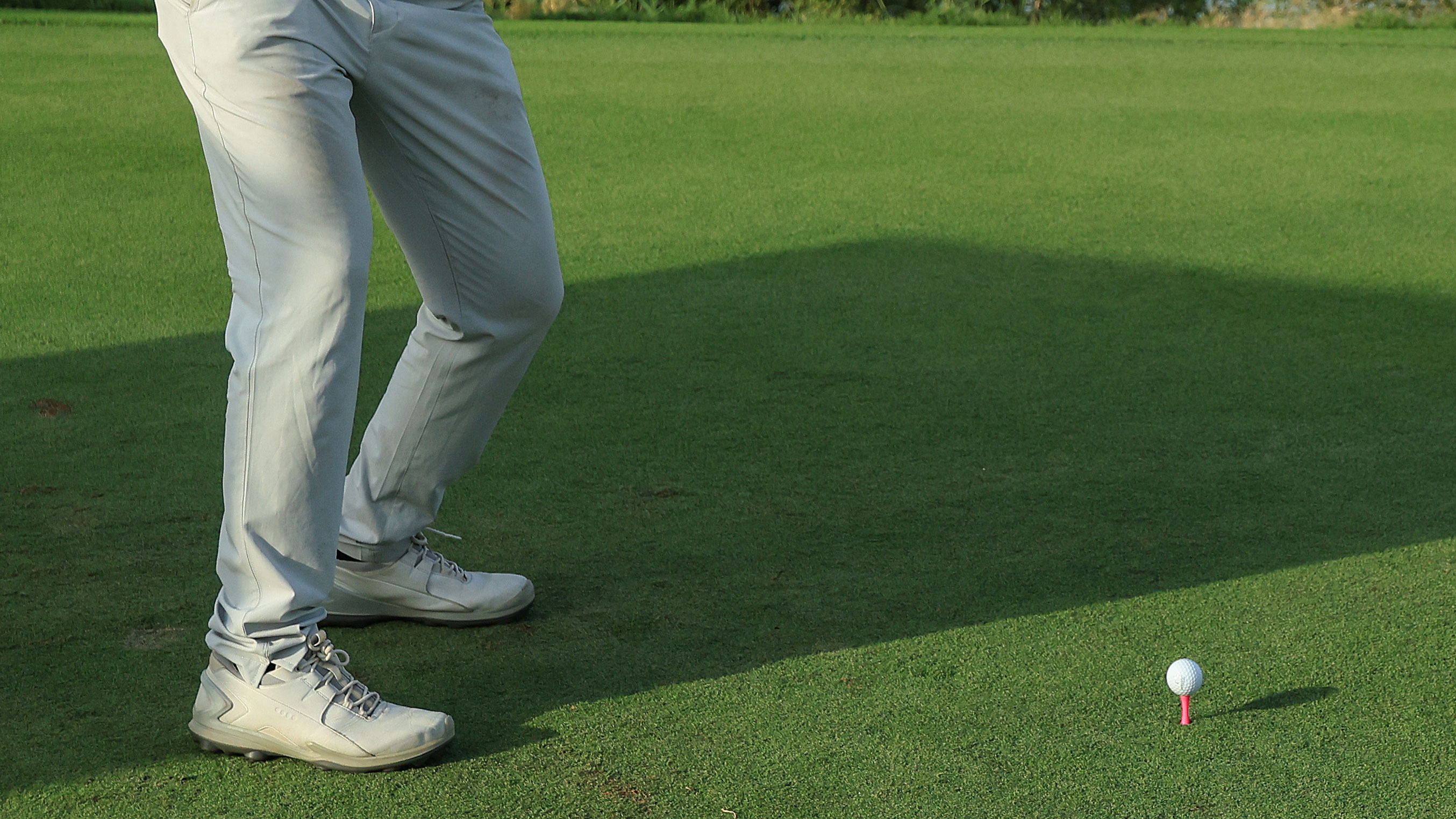 Aaron Rai pink castle tees