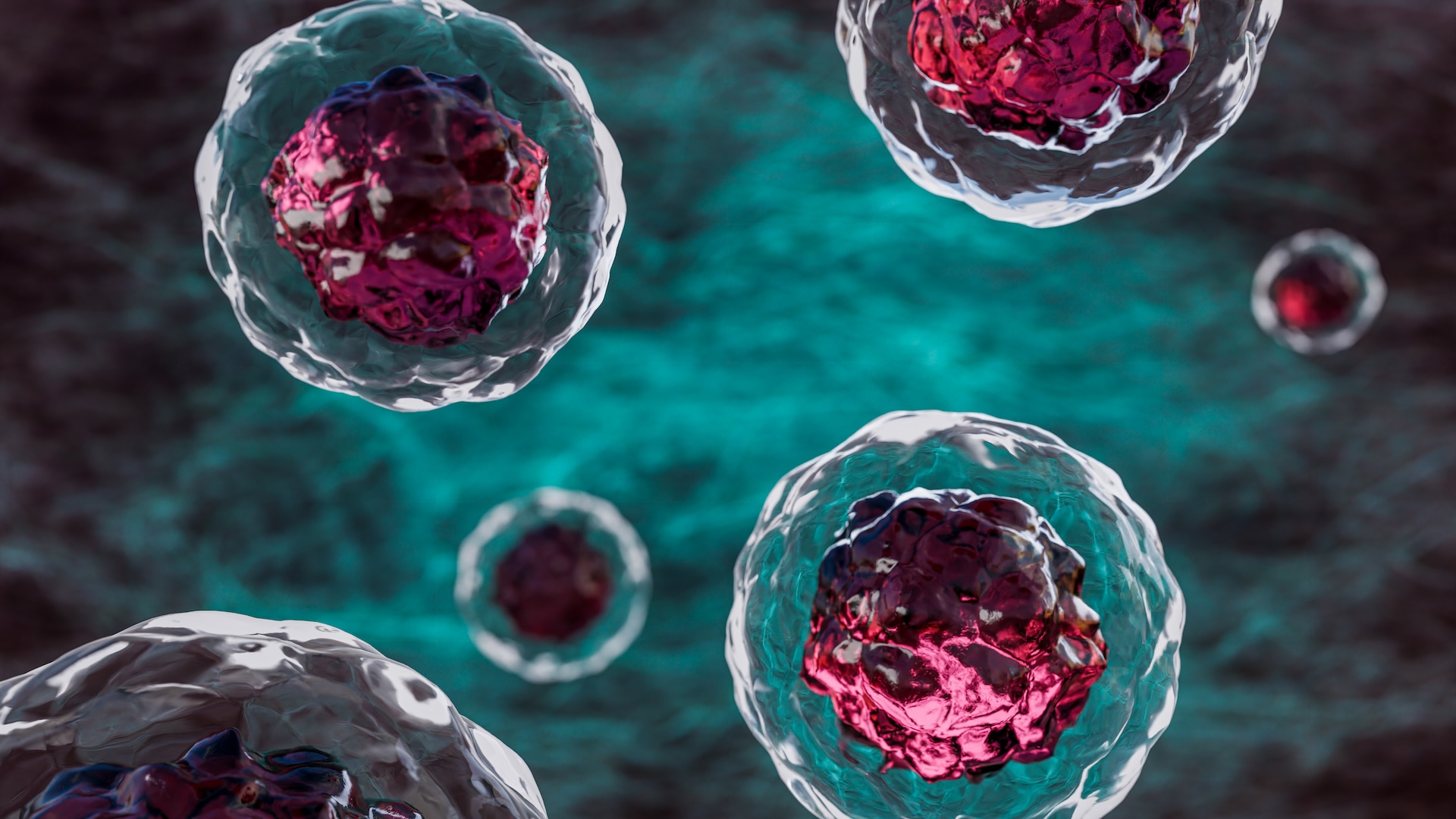 an illustration of cells