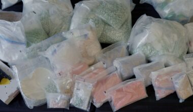 WATCH: Record-breaking fentanyl bust in Windsor, Ont. - CTV News